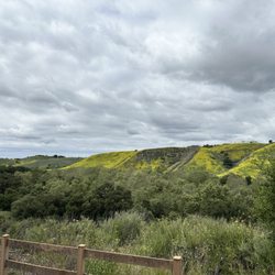 Hill view towards Coto.