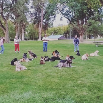 Scotch Pines Dog Training Pet Training Nampa Id Phone Number