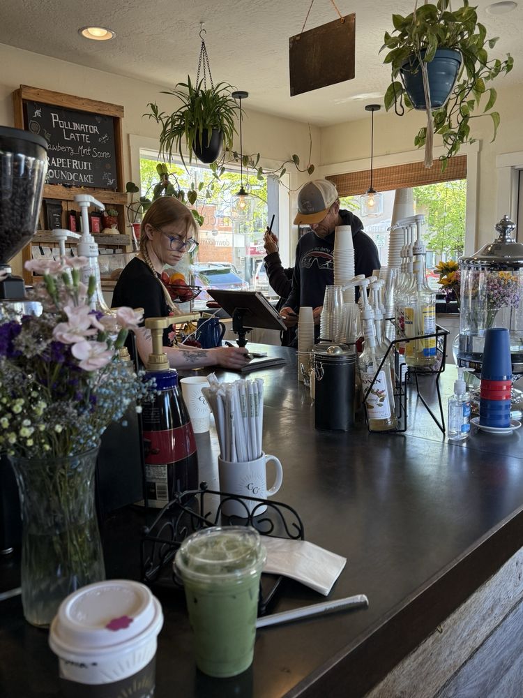 Social spots from Coffee Culture Downtown