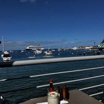 Bluewater Grill - View - Seafood Near Me - Avalon, California Bluewater Grill - View - Seafood Near Me - Avalon, California