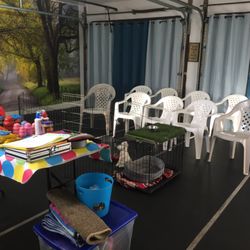 Gentle Puppy Training - YES ANOTHER PUPPY CLASS 'LECTURE WHERE PUPPY PARENTS LEARN HOW TO MANAGE & DEAL WITH NORMAL PUPPY'S BEHAVIORS