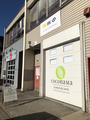 Coconama Chocolate by null
