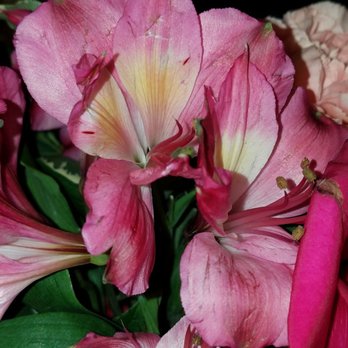 Seattle Flowers - Florists Near Me - Seattle, Washington Seattle Flowers - Florists Near Me - Seattle, Washington
