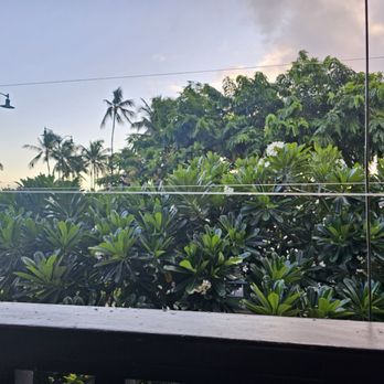Lulu's Waikiki - View of sunset... behind a bush. - Burgers Near Me - Honolulu, Hawaii Lulu's Waikiki - View of sunset... behind a bush. - Burgers Near Me - Honolulu, Hawaii