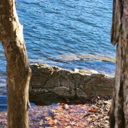 Kittatinny Valley State Park