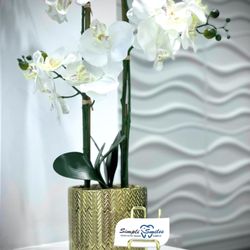 Simpli Smiles - Farmingdale - Simplismiles #dentist #bestdentist #longislanddentist