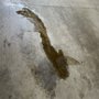Valvoline Instant Oil Change