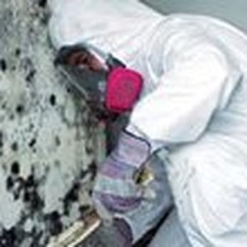 The CleanUP Guys - Mold Remediation Chicago and Suburbs - Damage Restoration Near Me - Chicago, Illinois The CleanUP Guys - Mold Remediation Chicago and Suburbs - Damage Restoration Near Me - Chicago, Illinois