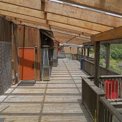 Deck in the back