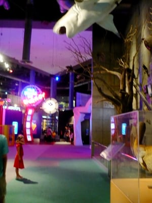 Science Centre Singapore by null