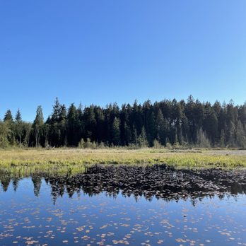 Stanley Park - Beaver Lake - Parks Near Me - Vancouver, British Columbia Stanley Park - Beaver Lake - Parks Near Me - Vancouver, British Columbia