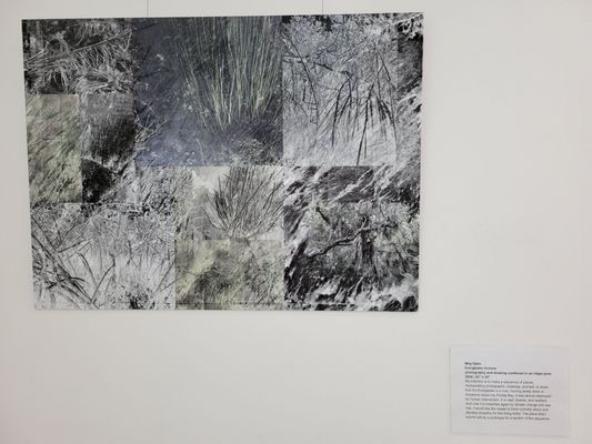 Ernest F. Coe Visitor Center by null