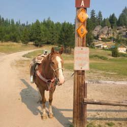 Hidalgo Trail Rides