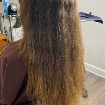 Jael Beverly Hills - Before - Blow Dry/Out Services Near Me - Los Angeles, California Jael Beverly Hills - Before - Blow Dry/Out Services Near Me - Los Angeles, California