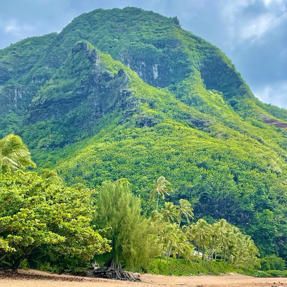 Boss Frog's - Tunnels Beach (recommended by Boss Frog's) - Tours Near Me - Koloa, Hawaii Boss Frog's - Tunnels Beach (recommended by Boss Frog's) - Tours Near Me - Koloa, Hawaii