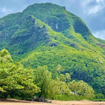 Boss Frog's - Tunnels Beach (recommended by Boss Frog's) - Tours Near Me - Koloa, Hawaii