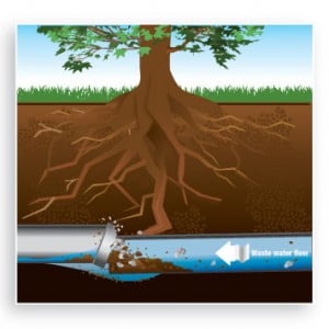 Slide of All-Out Plumbing