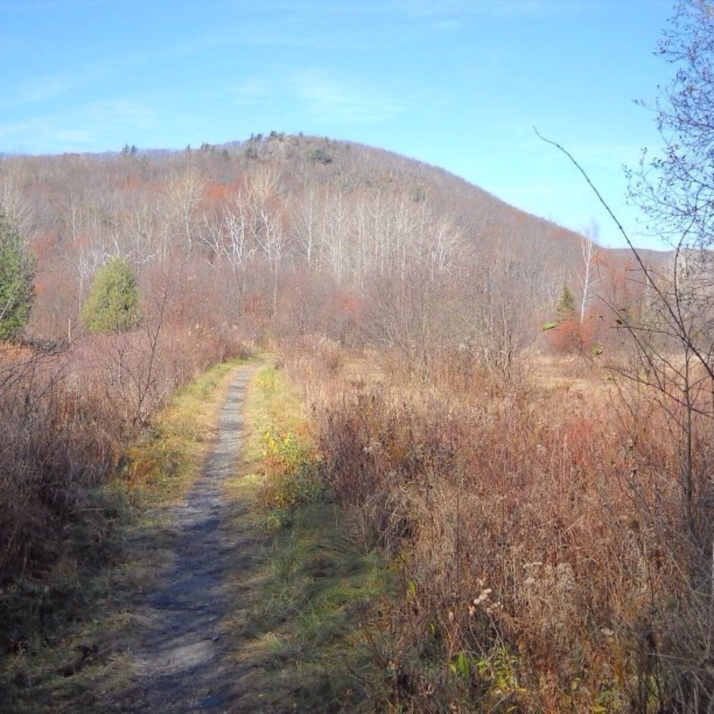 Bear Mountain - Hiking Near Me