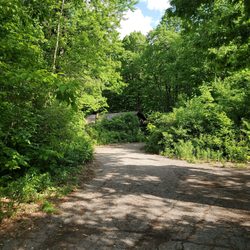 Cudahy Nature Preserve