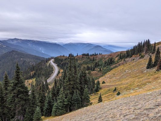 Hurricane Ridge by null