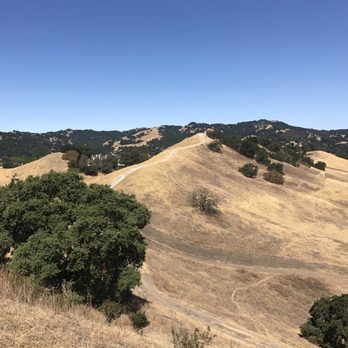 Acalanes Ridge Recreation Area - Nice views! Beacon Ridge in the distance - Parks Near Me - Walnut Creek, California