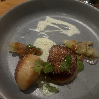 Rooster & Owl - New American Near Me - Washington, DC, District of Columbia