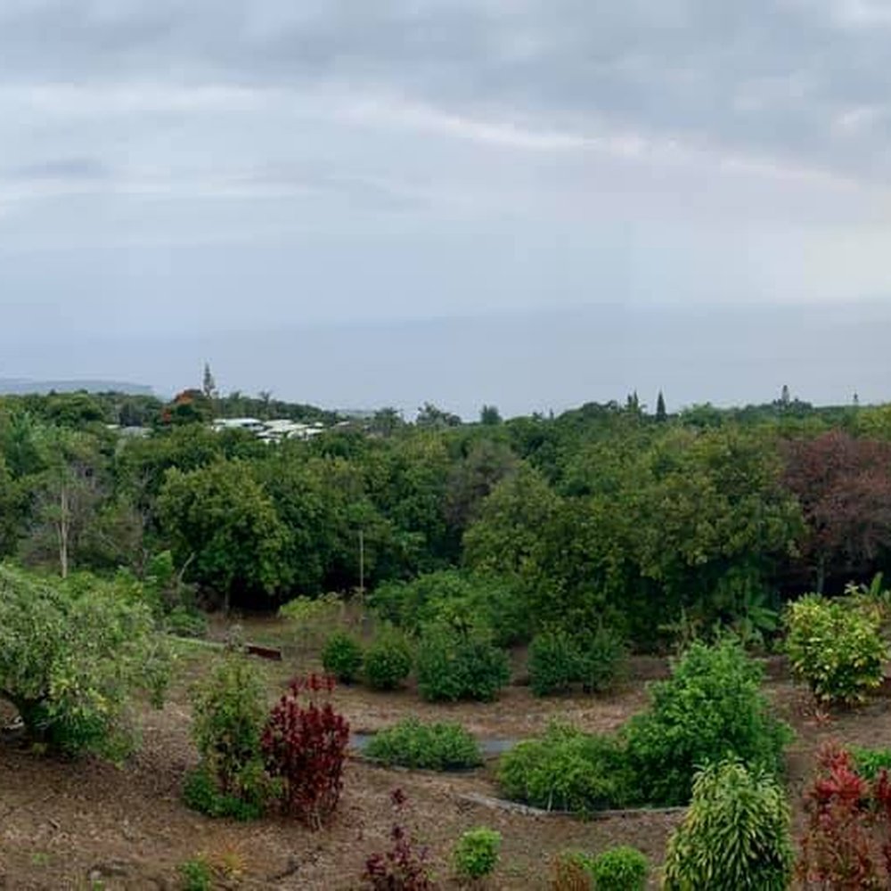 Manago Hotel - There were wild fires up north a bit so our view was pretty hazy but still lovely. - Hotels Near Me - Captain Cook, Hawaii Manago Hotel - There were wild fires up north a bit so our view was pretty hazy but still lovely. - Hotels Near Me - Captain Cook, Hawaii