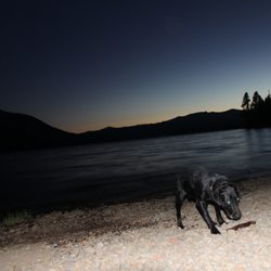 Cultus Lake Campground