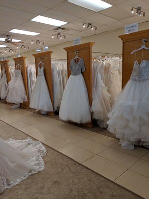 Lily's Bridal by null