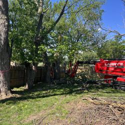 Larry's Lawn Service - The crane