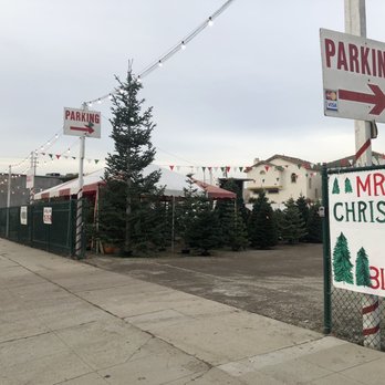 Mr. Jones Farm - Me. Jones Christimas Trees - Christmas Trees Near Me - Torrance, California Mr. Jones Farm - Me. Jones Christimas Trees - Christmas Trees Near Me - Torrance, California