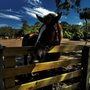 Photo of Lawton Stables