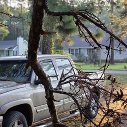 Green Acres Tree Service