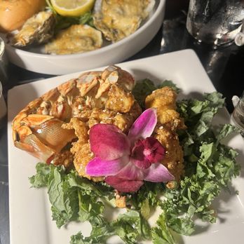 Cork Oak - Lobster Bites & Oysters - Wine Bars Near Me - Lansing, Illinois