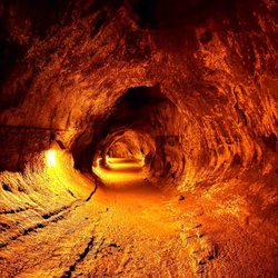Dave’s Shuttle Service - Thurston Lava-tube