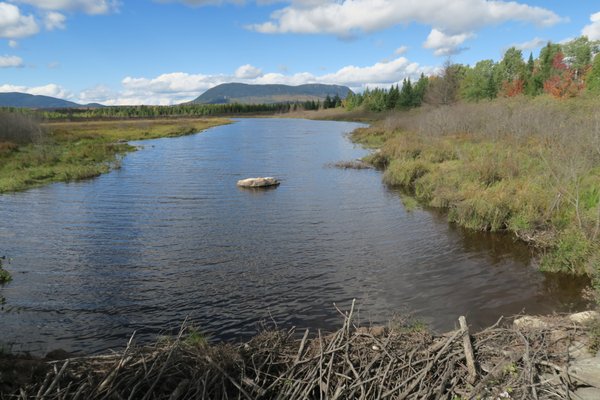 Lily Bay State Park by null