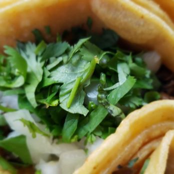 Mex Avenue - Steak taco - Mexican Near Me - Wauwatosa, Wisconsin Mex Avenue - Steak taco - Mexican Near Me - Wauwatosa, Wisconsin