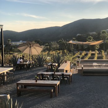 Mixtura - Mexican Near Me - Valle de Guadalupe, BCN Mixtura - Mexican Near Me - Valle de Guadalupe, BCN