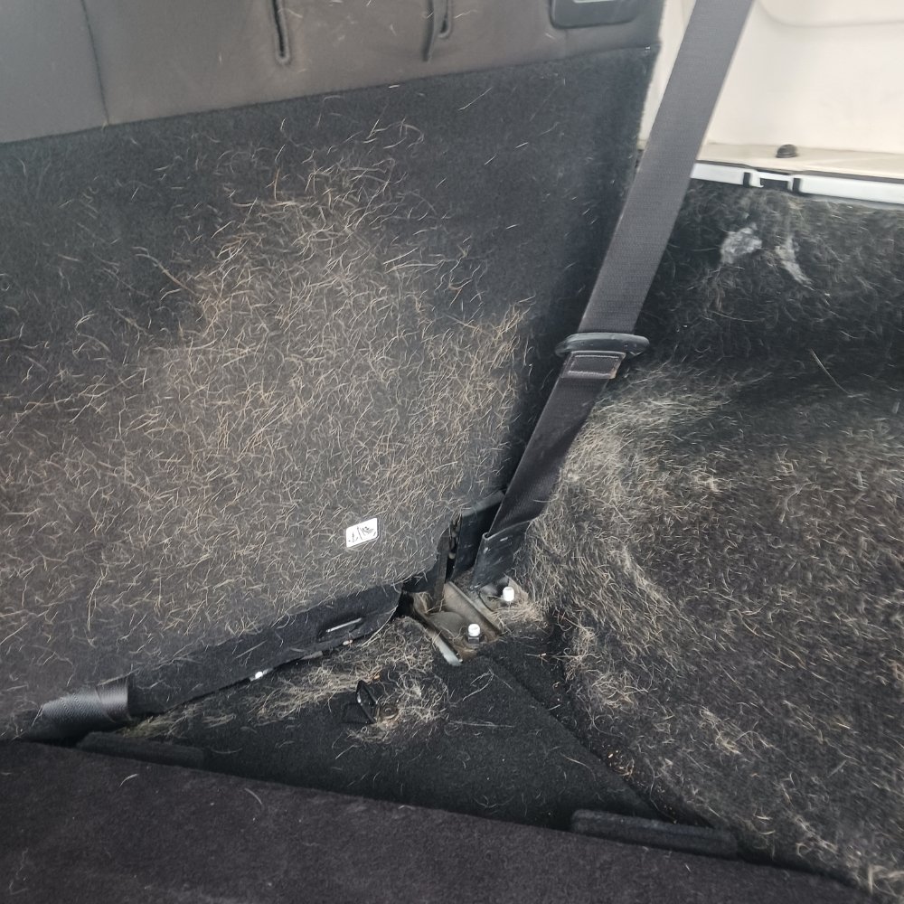 ABS AUTO DETAILING Request a Quote 12 Photos Nashville, TN Yelp