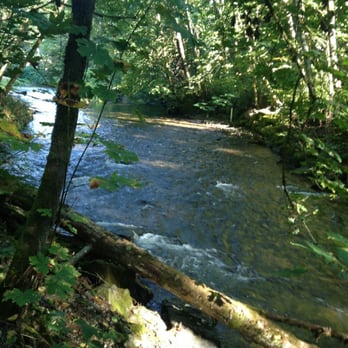 Kobayashi Park - Creek - Parks Near Me - University Place, Washington