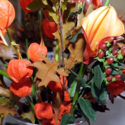 Tilly Tomlinson Flowers