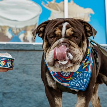 Dutch Bros Coffee - Dutch Bros Pup Cup - Juice Bars & Smoothies Near Me - Ceres, California Dutch Bros Coffee - Dutch Bros Pup Cup - Juice Bars & Smoothies Near Me - Ceres, California