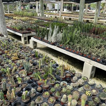 Isaac Farms - Nurseries & Gardening Near Me - Miami, Florida Isaac Farms - Nurseries & Gardening Near Me - Miami, Florida
