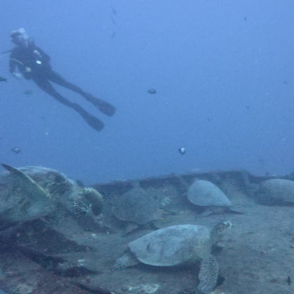 Hawaiian Diving Adventures - Scuba Diving Near Me - Honolulu, Hawaii