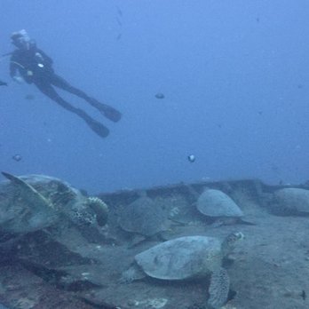 Hawaiian Diving Adventures - Scuba Diving Near Me - Honolulu, Hawaii