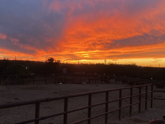 Tanque Verde Ranch by null