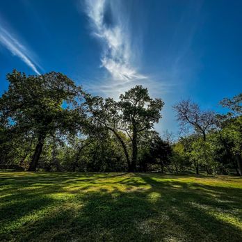 Reverchon Park - Beautiful open areas - Parks Near Me - Dallas, Texas