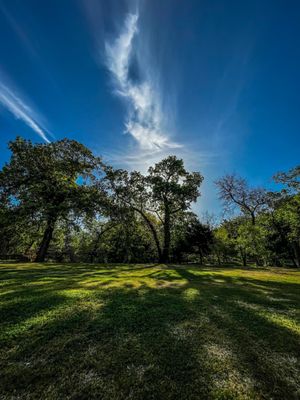 Reverchon Park by null