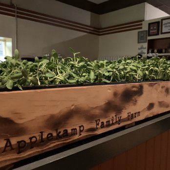 Steinhaus - Sunflower sprouts for daily house salads - German Near Me - Marquette, Michigan Steinhaus - Sunflower sprouts for daily house salads - German Near Me - Marquette, Michigan