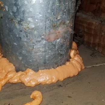 Attic Pros - how they sealed openings - Pest Control Near Me - Oakland, California